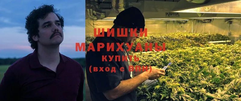 Канабис White Widow  закладки  Орехово-Зуево 